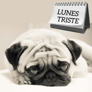imagen-perro-triste-calendario-Blue-Monday