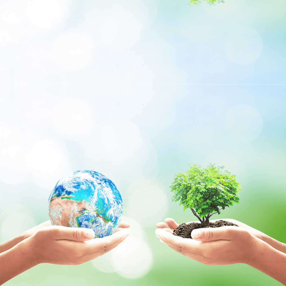 imagen-mundo-arbol-en-manos